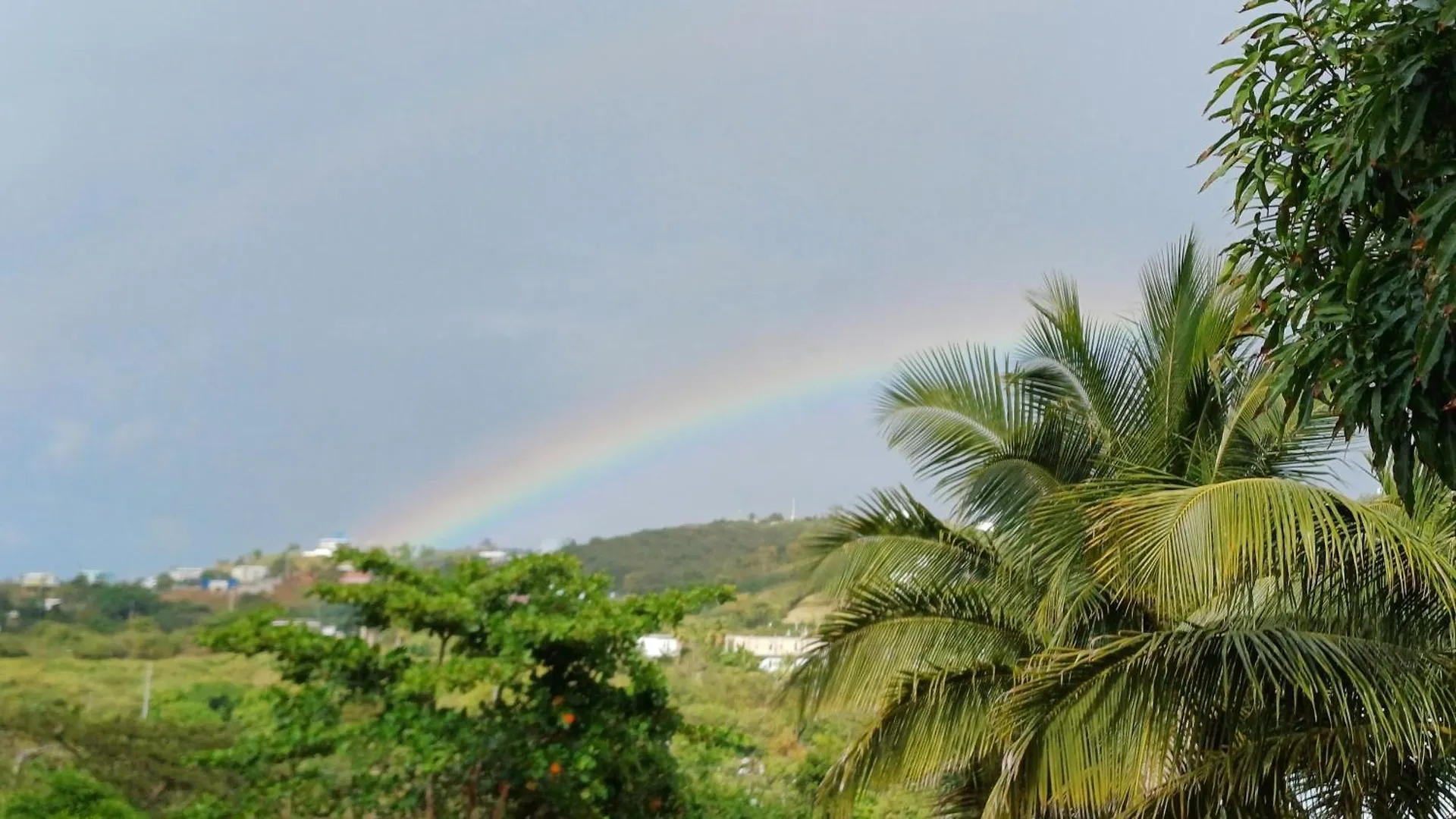 Luxury tent Rooster Run Glamping Camping Has Rooftop And Off The Ground Glamping Experience For 1 To 16 In A Single Tent And Views Of The Rain Forrest And To Culebra Across The Atlantic Ocean W Tents, Linens, Deluxe Air Beds, Warm Shower And More At A Great Pric Vieques Puerto Rico