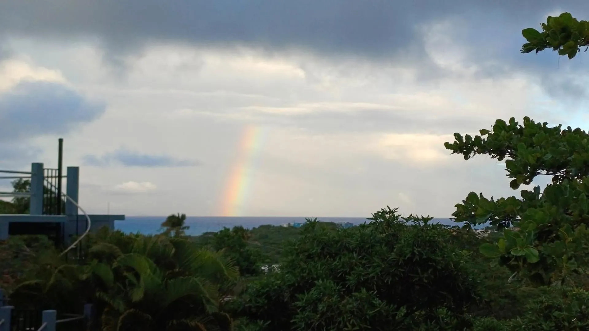 Rooster Run Glamping Camping Has Rooftop And Off The Ground Glamping Experience For 1 To 16 In A Single Tent And Views Of The Rain Forrest And To Culebra Across The Atlantic Ocean W Tents, Linens, Deluxe Air Beds, Warm Shower And More At A Great Pric Vieques 0*,