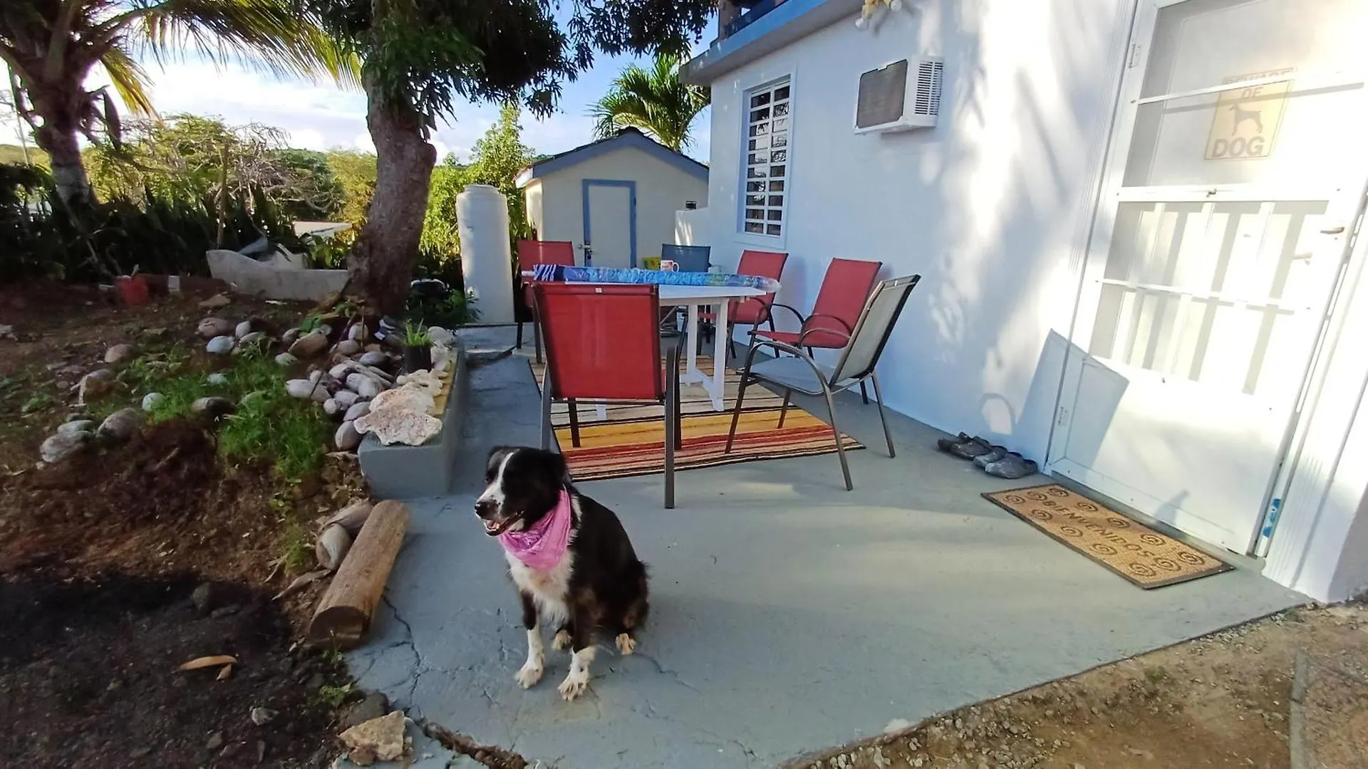 Rooster Run Glamping Camping Has Rooftop And Off The Ground Glamping Experience For 1 To 16 In A Single Tent And Views Of The Rain Forrest And To Culebra Across The Atlantic Ocean W Tents, Linens, Deluxe Air Beds, Warm Shower And More At A Great Pric Vieques
