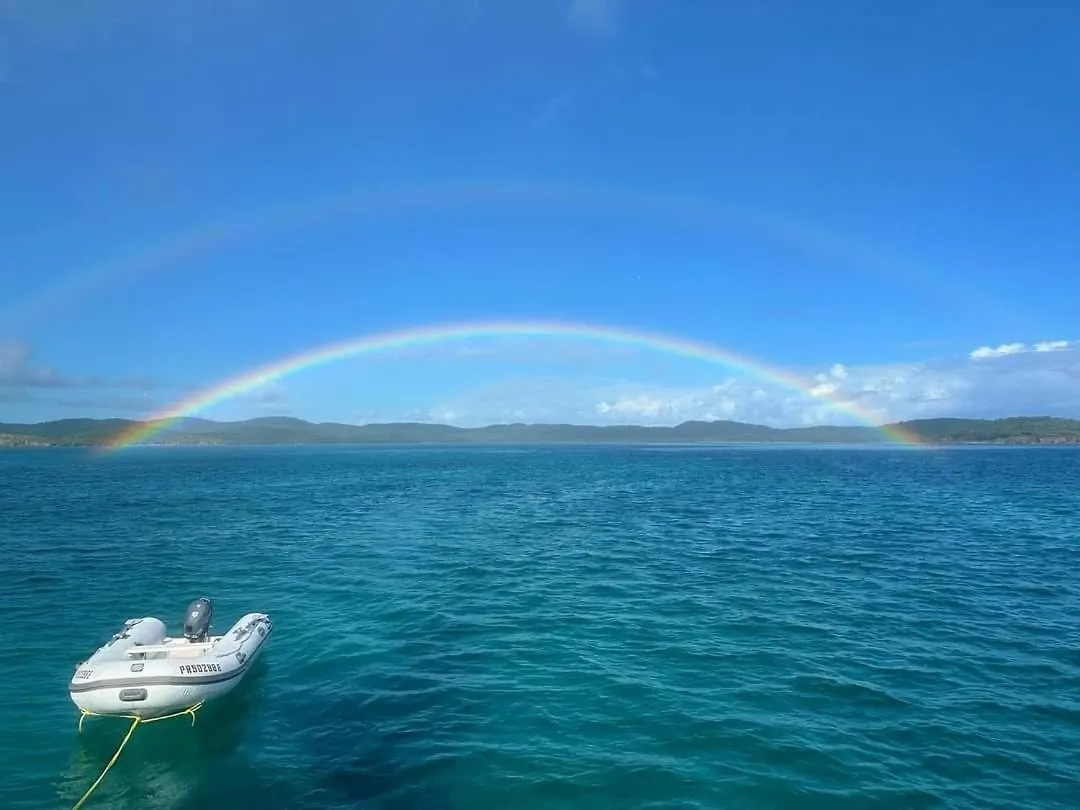 Rooster Run Glamping Camping Has Rooftop And Off The Ground Glamping Experience For 1 To 16 In A Single Tent And Views Of The Rain Forrest And To Culebra Across The Atlantic Ocean W Tents, Linens, Deluxe Air Beds, Warm Shower And More At A Great Pric Vieques